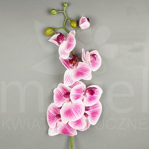 sun600 pink 18x9.jpg