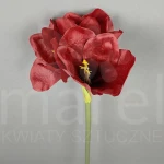 Amarylis LS-A-667BYST RED