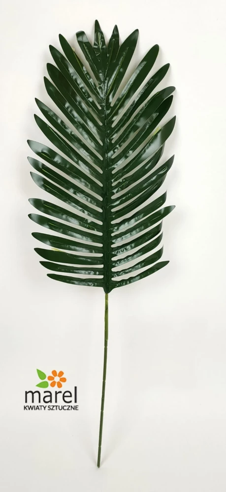 rx-114a.jpg