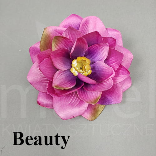 beauty.jpg