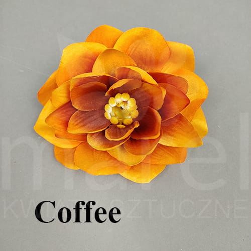 coffee.jpg