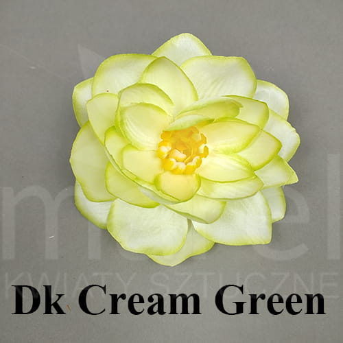dk cream green.jpg