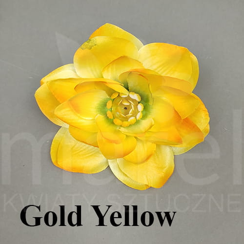 gold yellow.jpg