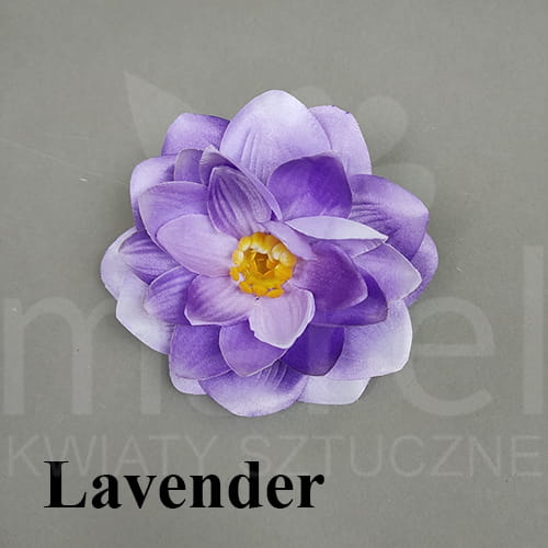 lavender.jpg