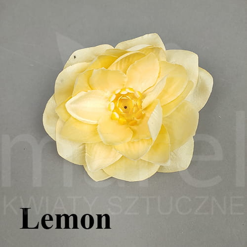 lemon.jpg