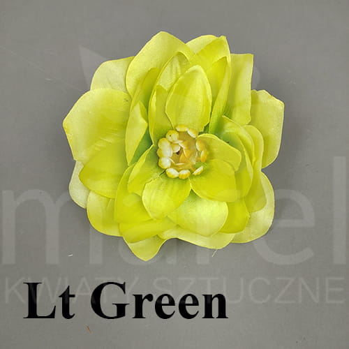 lt green.jpg