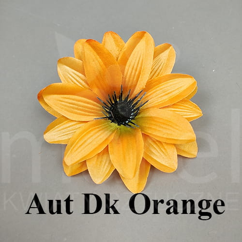aut dk orange.jpg