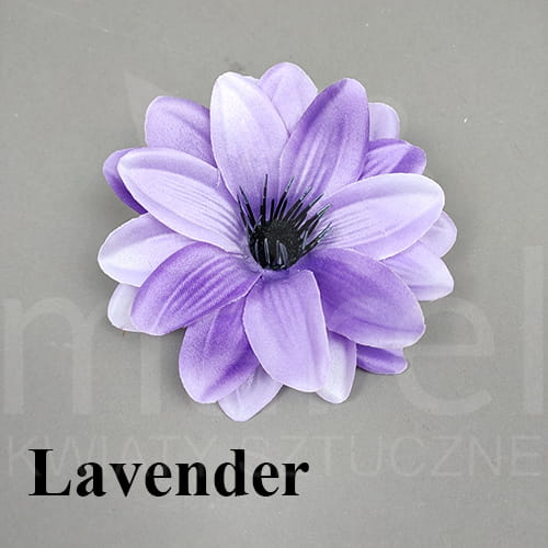 lavender.jpg