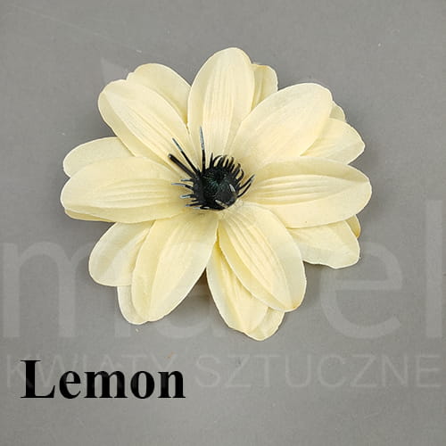 lemon.jpg
