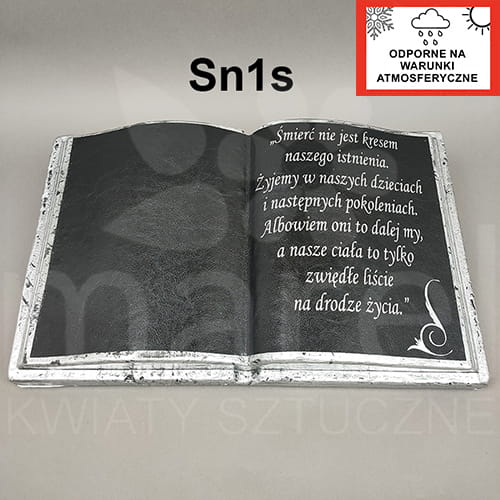 Sn1s kopia.jpg