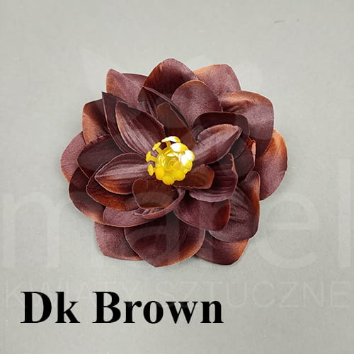 dk brown.jpg