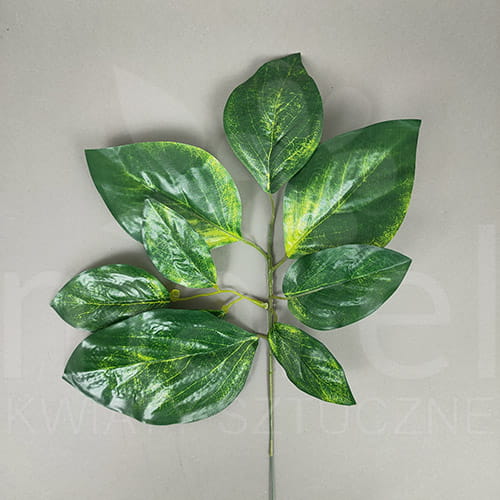 RX039 green 12x0,95.jpg