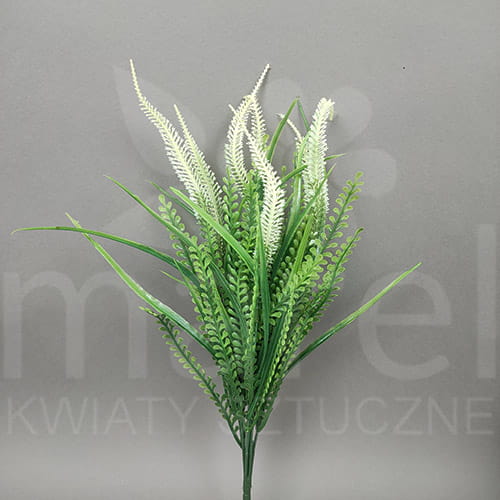 PS001 Cream 12x3,80.jpg