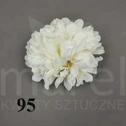 Chryzantema MBT100345