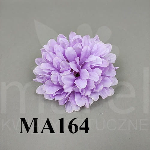 ma164.jpg