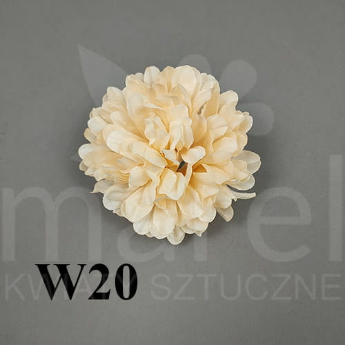 w20.jpg