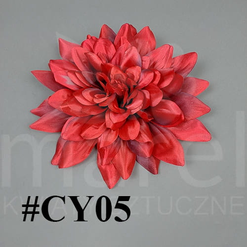 cy05.jpg