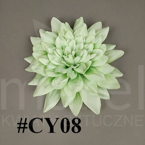 cy08.jpg