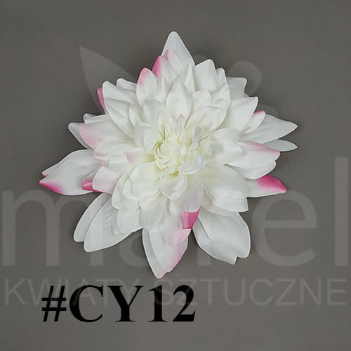 cy12.jpg