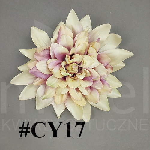 cy17.jpg