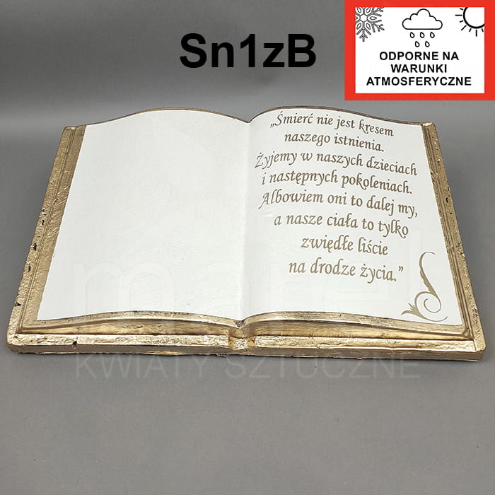 Sn1zB kopia.jpg