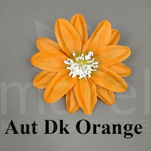 Aut Dk Orange.jpg