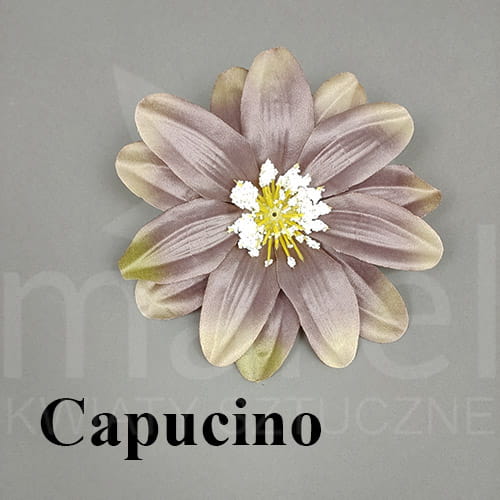 Capucino.jpg