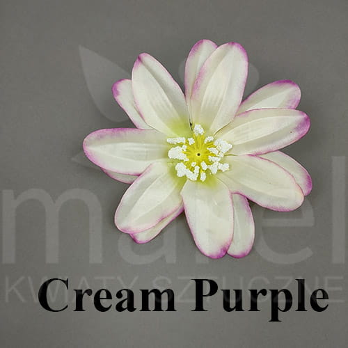 Cream Purple.jpg