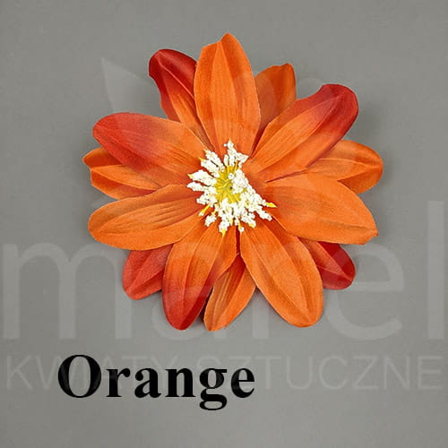 Orange.jpg