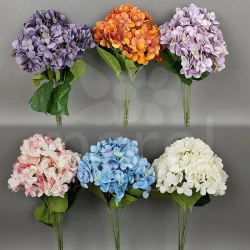 Bukiet hortensja LR2222005 MIX