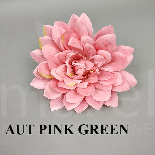AUT PINK GREEN.jpg