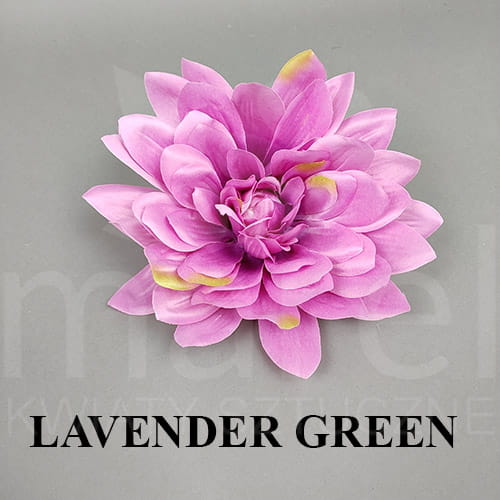 LAVENDER GREEN.jpg