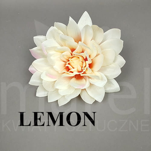 LEMON.jpg