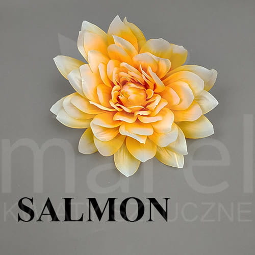 SALMON.jpg