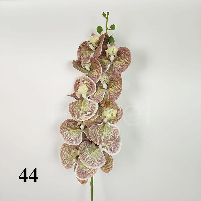 44.jpg
