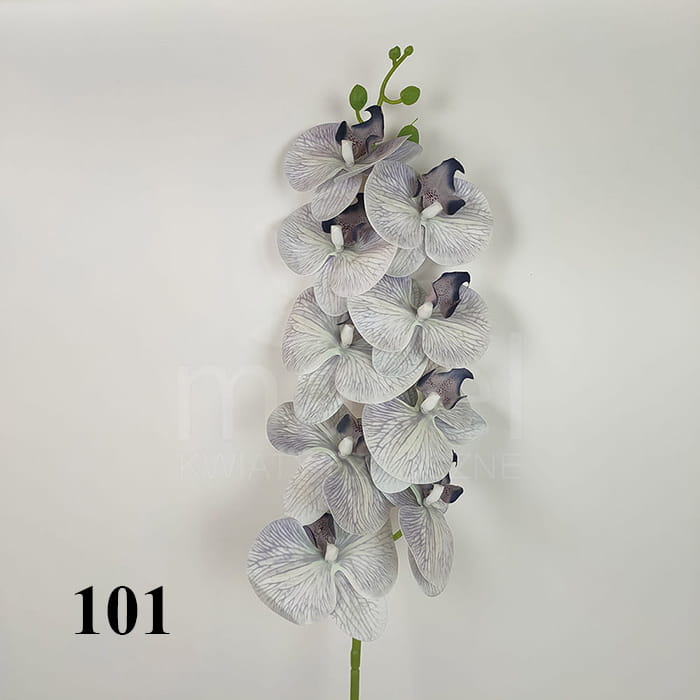 101.jpg