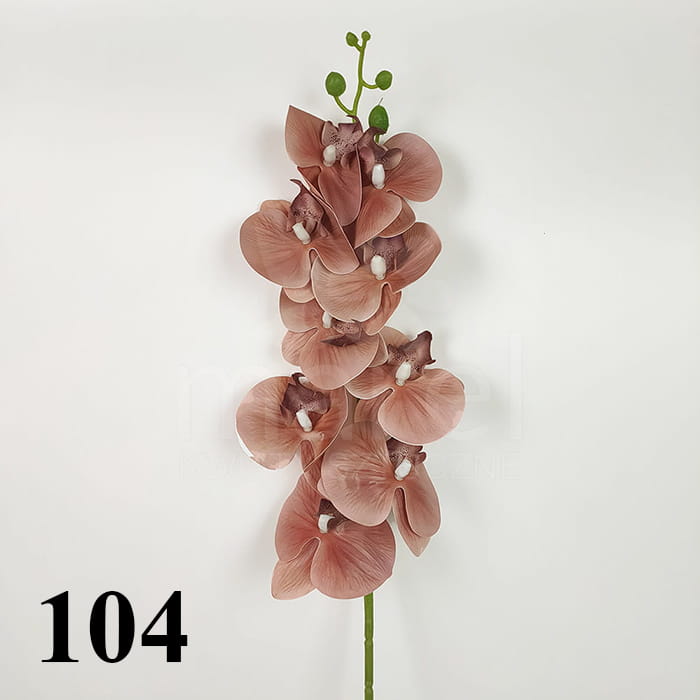 104.jpg