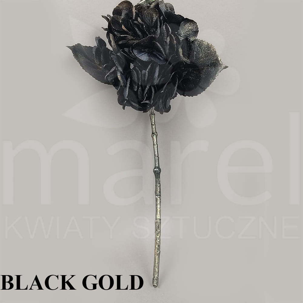 XKLMM 006 BLACK GOLD.jpg
