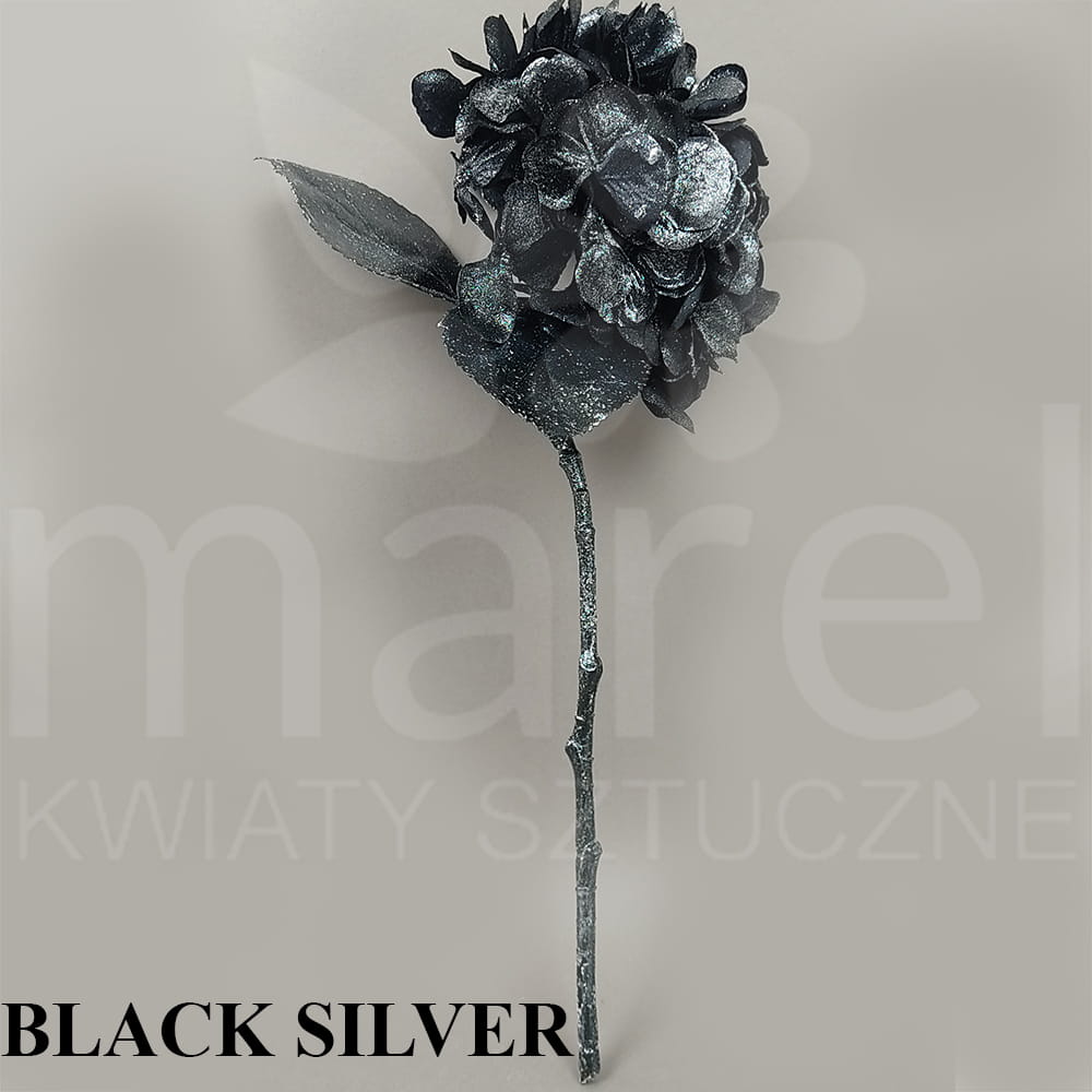XKLMM 006 BLACK SILVER.jpg