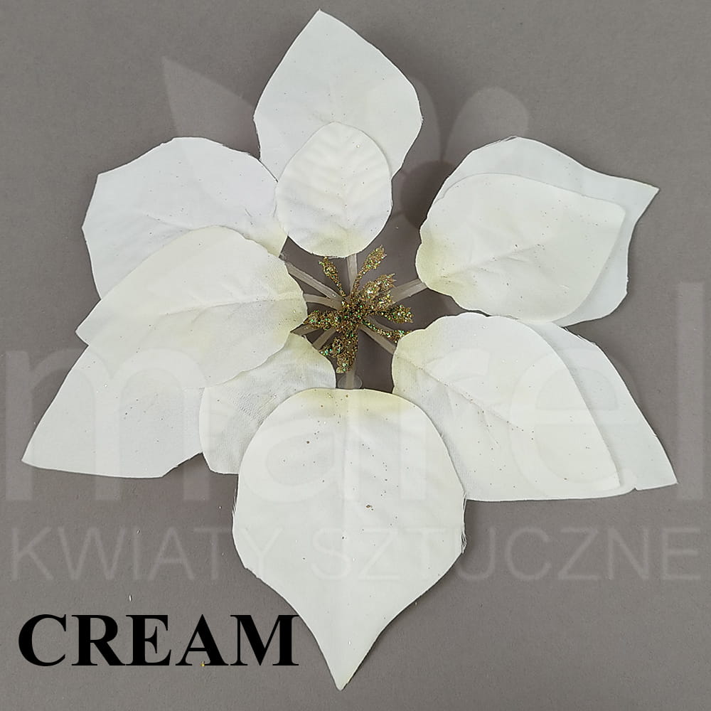 YSP 20007 CREAM.jpg