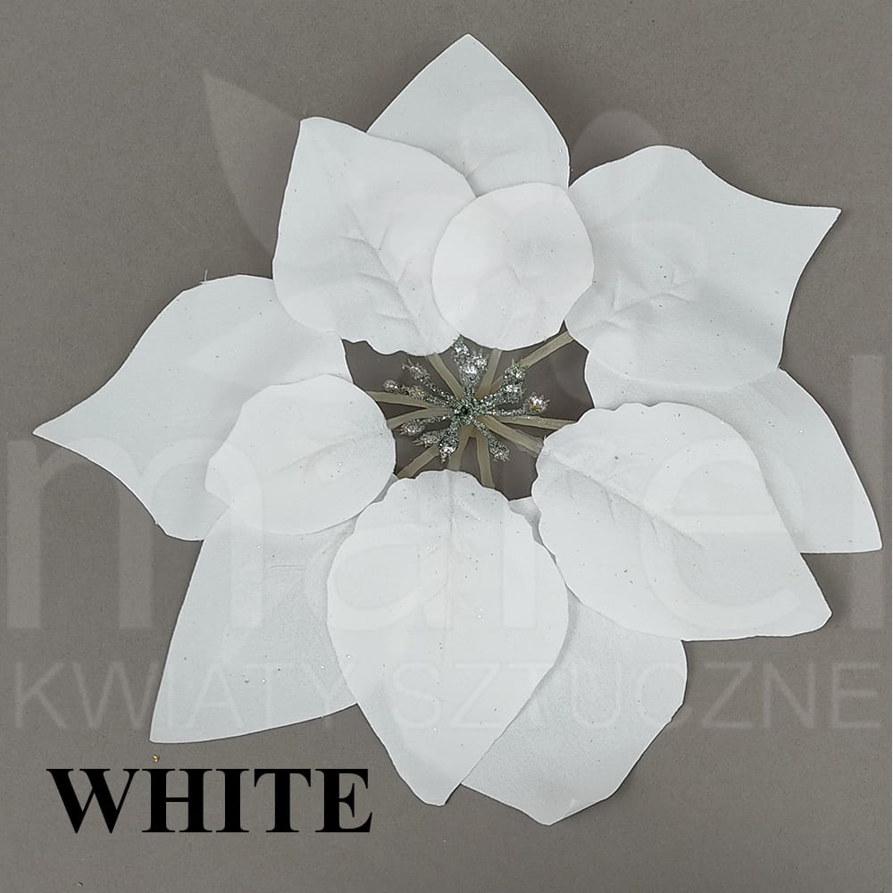 YSP 20007 WHITE.jpg