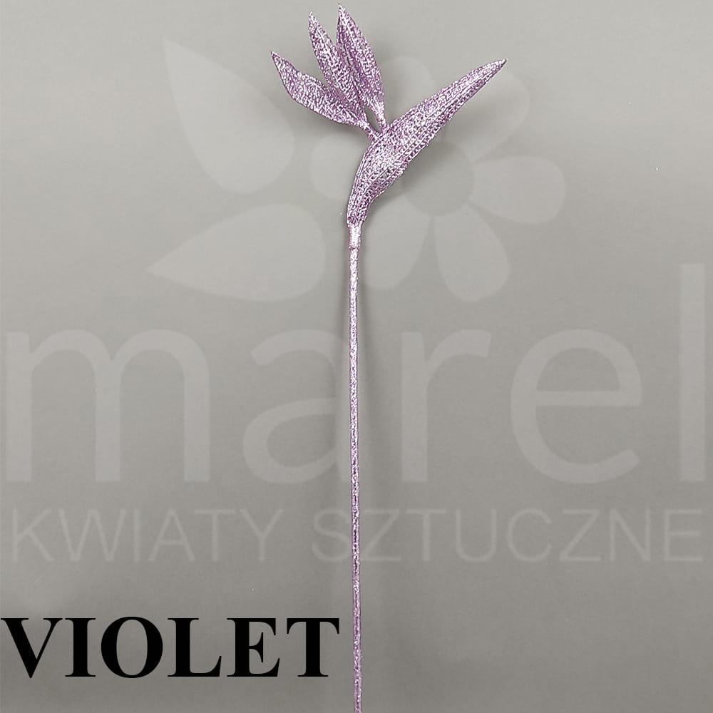 STRELICJA BROKATOWANA VIOLET 1x3złP.jpg