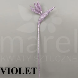Strelicja brokatowa violet