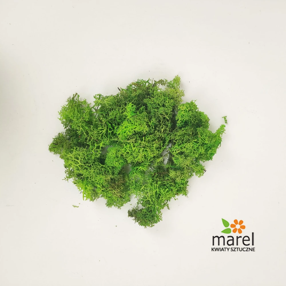 mech-grass-green-light-sklep-scaled.jpg