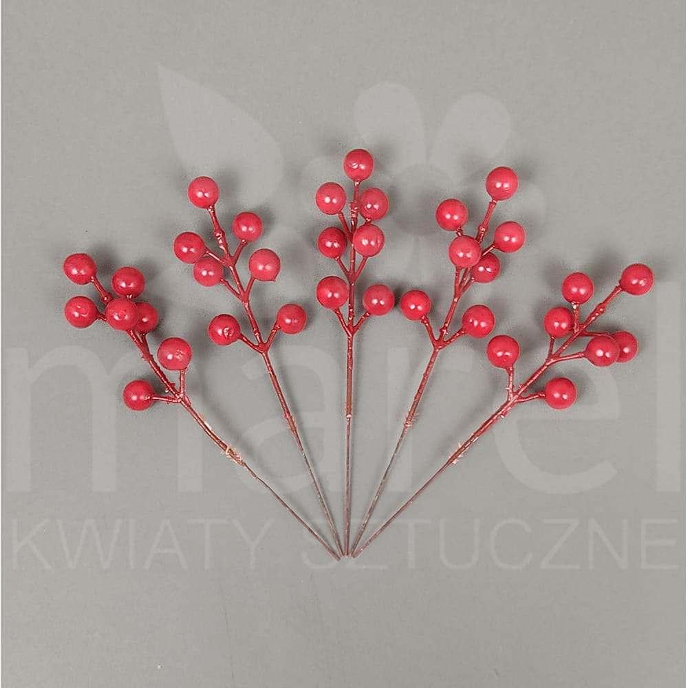 BC006 100x0,60zł.jpg