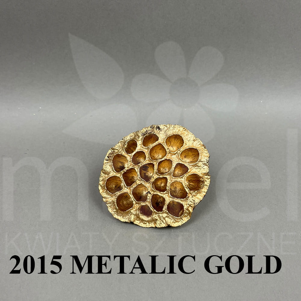 Lotus Pod Large 2015 Metalic Gold.jpg