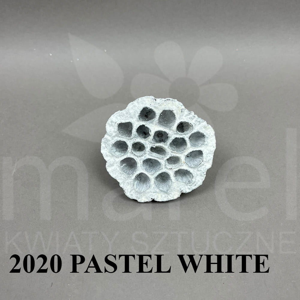 Lotus Pod Large 2020 Pastel White.jpg