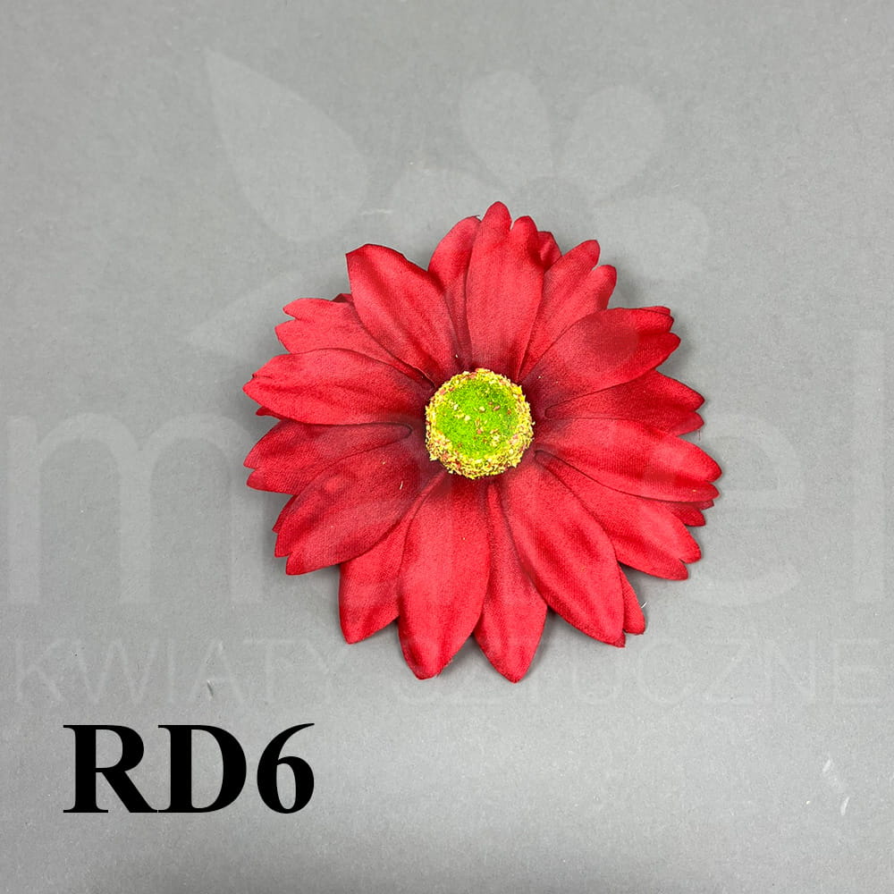 RD6.jpg