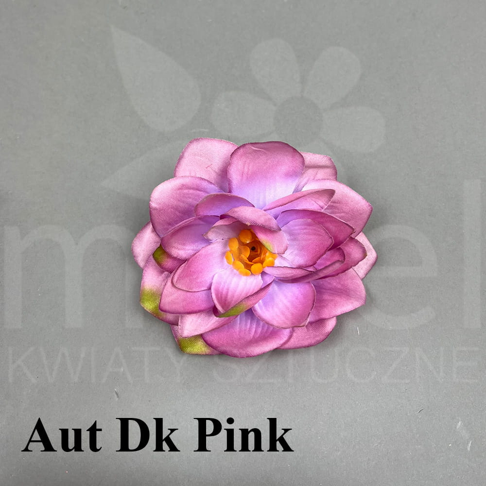 AUT DK PINK.jpg