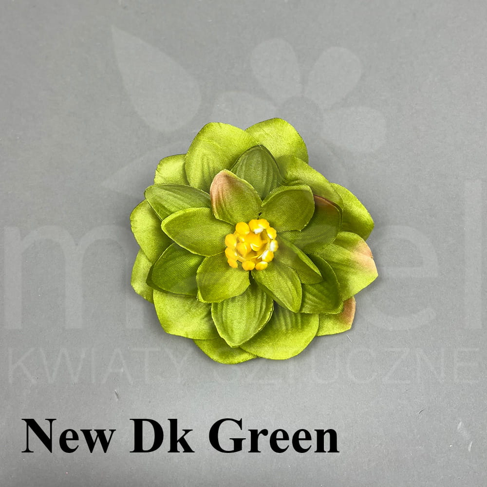 NEW DK GREEN.jpg